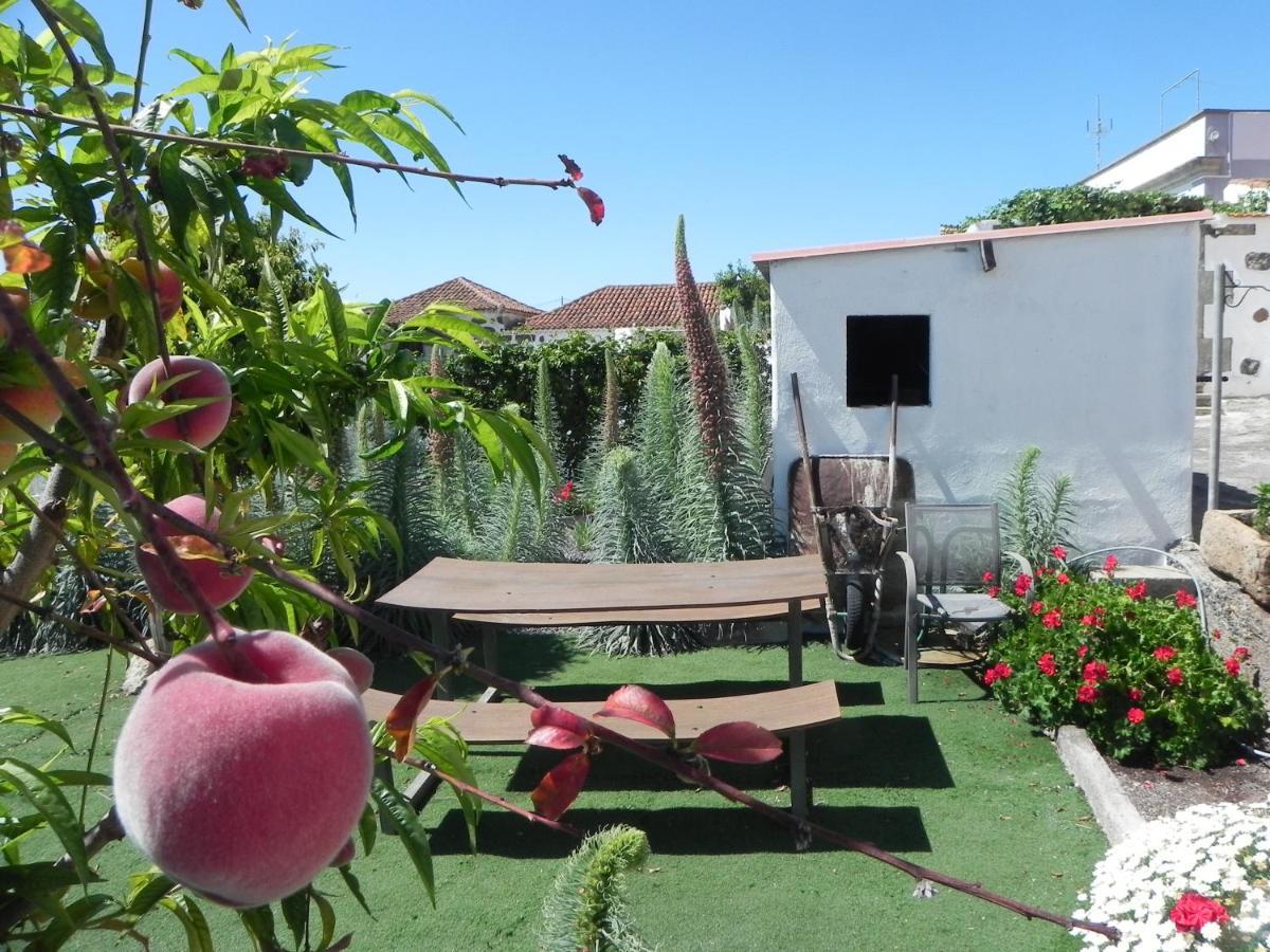 Casa Irma, Great Sea And Mountains Views, Rural House Villa Costa Adeje  Eksteriør bilde